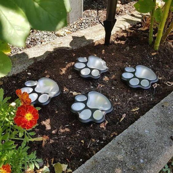 Vibrant Outdoor Solar Garden Lights