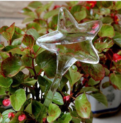 Self Watering Indoor Plant Pot