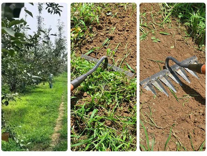 Easy Garden Transformation Tool