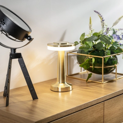Portable Bright LED Desk Light