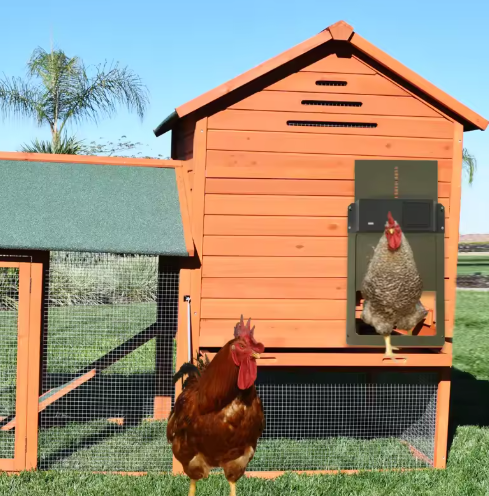Automatic Chicken Coop Door Opener with Timer