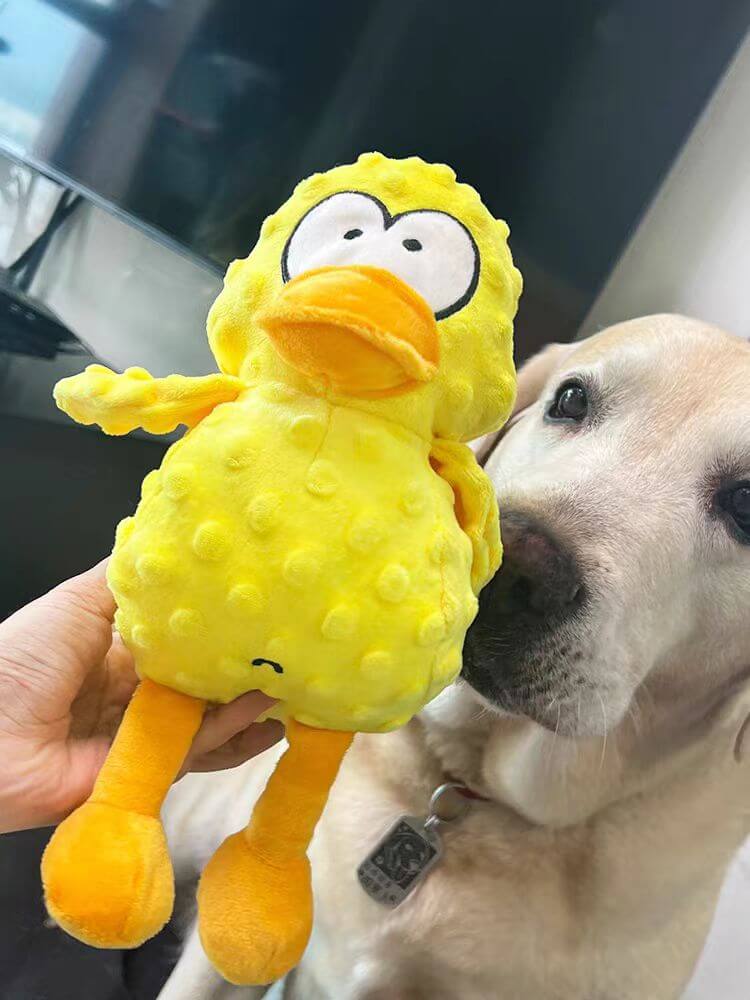 Fun Plush Dog Toy For Cuddle And Play