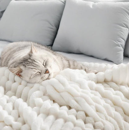 Cozy Fuzzy Throw Blanket Buy One Get One Free