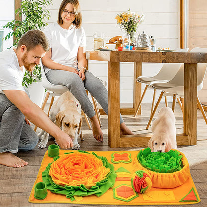 Interactive Dog Snuffle Mat