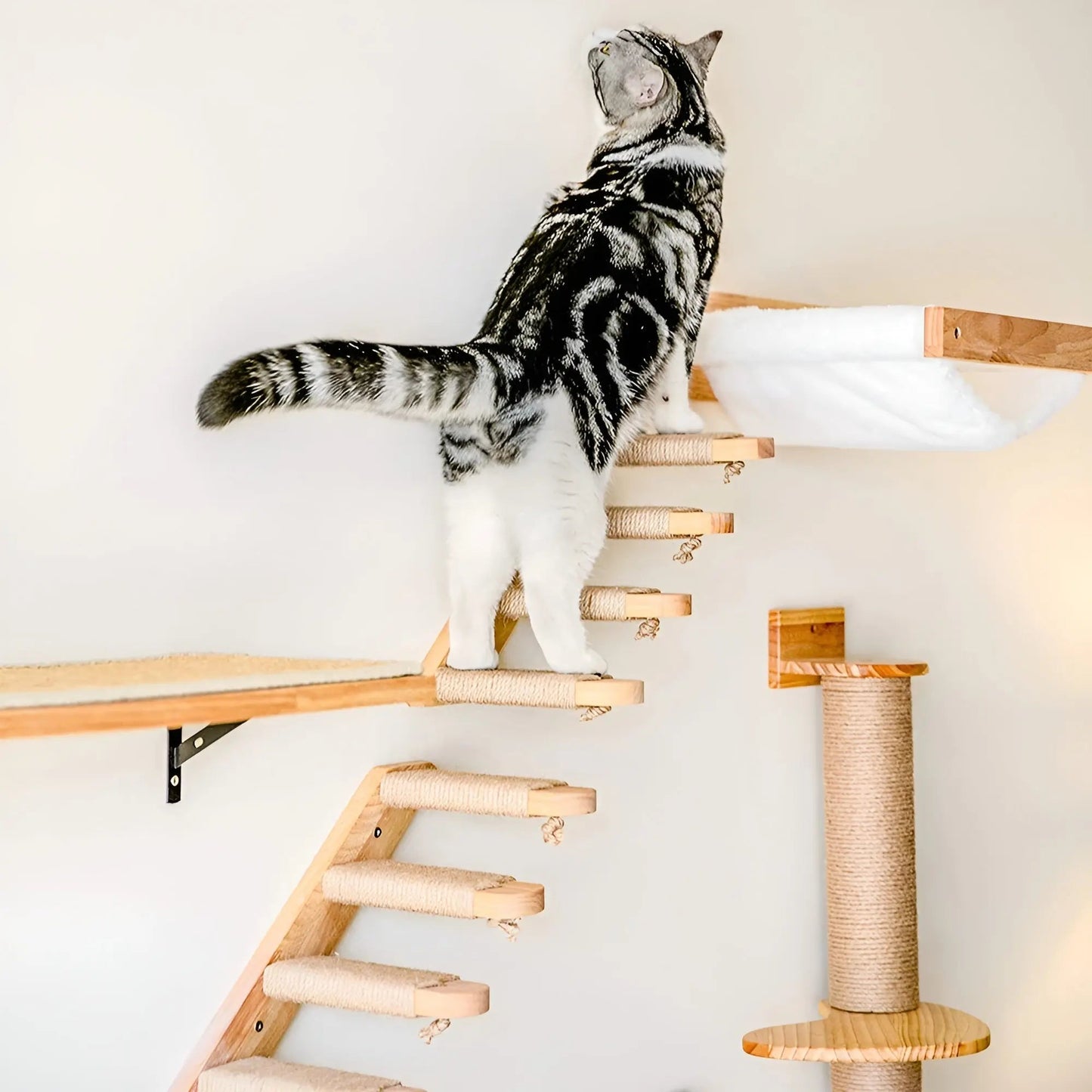 Cat Tower Shelf with Scratch Post