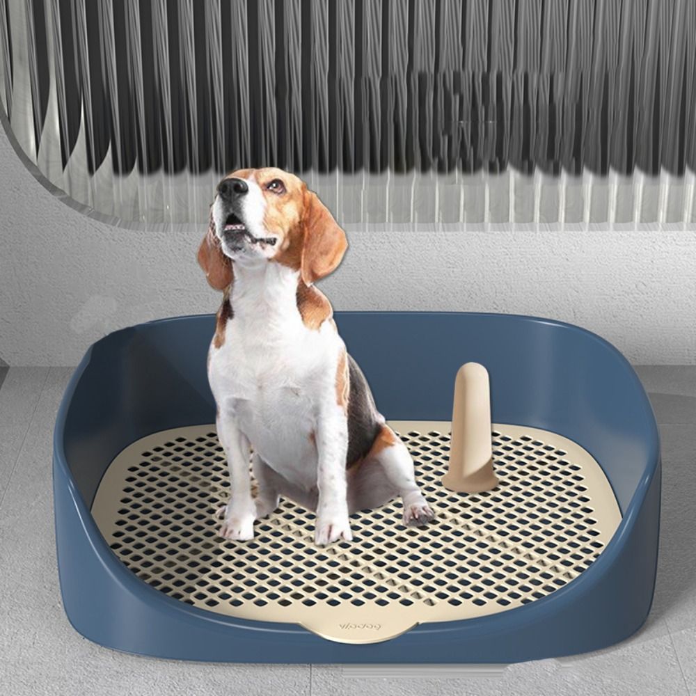 Simple Pet Potty Trainer with Splash Protection