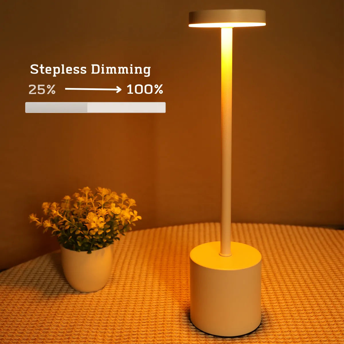 Compact LED Adjustable Office Lamp