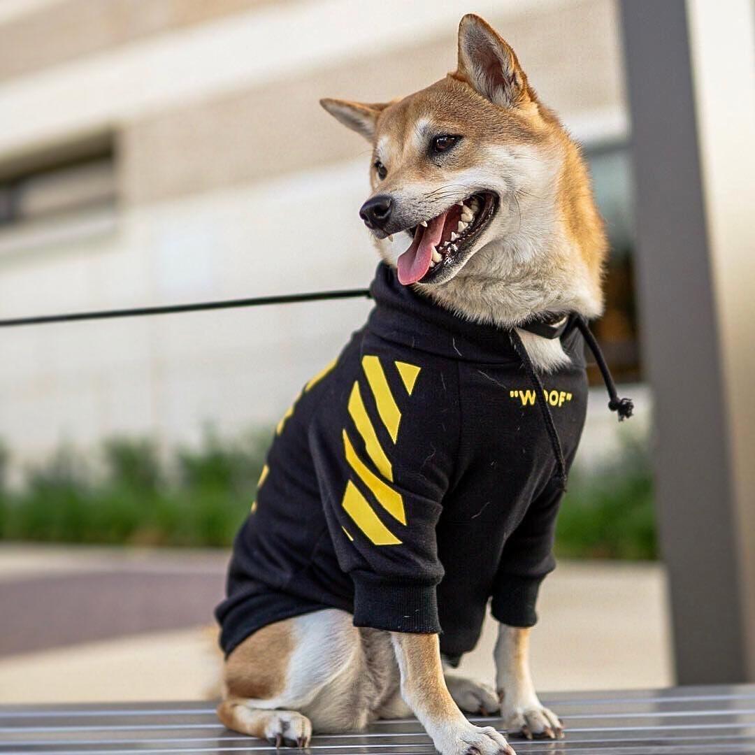 Pet Friendly Adjustable Dog Sweatshirt - Luxicro